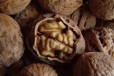 Грецкие орехи в городе Сызрань, фото 1, Самарская область
