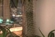 Мадагаскарская пальма, алоэ в городе Санкт-Петербург, фото 2, телефон продавца: +7 (952) 219-97-34