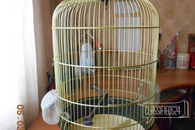 Клетка для попугая в городе Новороссийск, фото 1, Аксессуары