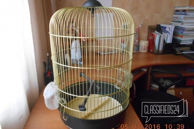 Клетка для попугая в городе Новороссийск, фото 2, Краснодарский край