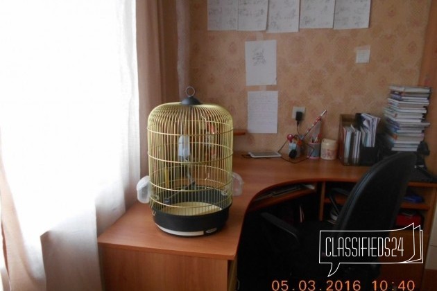 Клетка для попугая в городе Новороссийск, фото 3, телефон продавца: +7 (953) 069-71-71