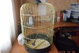 Клетка для попугая в городе Новороссийск, фото 2, телефон продавца: +7 (953) 069-71-71