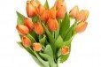 Тюльпаны к 8 марта в городе Тверь, фото 1, Тверская область