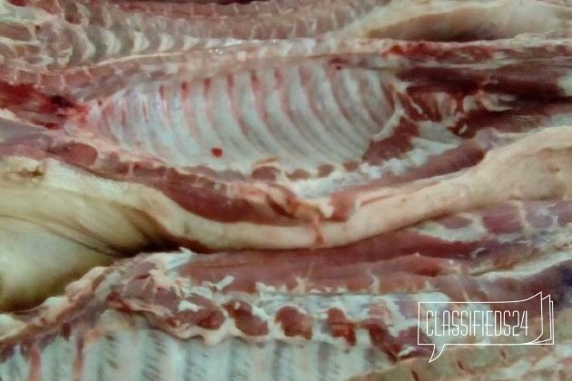 Свежее мясо в городе Комсомольск-на-Амуре, фото 1, телефон продавца: +7 (909) 860-10-28
