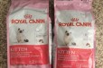 Корм Royal Canin для котят в городе Набережные Челны, фото 2, телефон продавца: +7 (987) 261-94-00