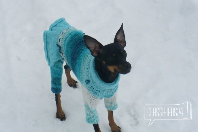 Одежда для собак и кошек в городе Ярославль, фото 3, Аксессуары