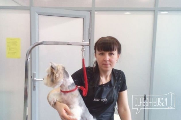 Стрижка собак и кошек в городе Каменск-Шахтинский, фото 3, Прочие услуги для животных