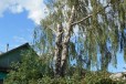 Спил деревьев любой сложности в Костроме и области в городе Кострома, фото 1, Костромская область