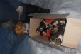 Продаю 7 щенков русской пегой гончей в городе Омск, фото 1, Омская область