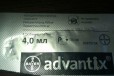 Advantix(капли на холку) для собак более25 кг в городе Кострома, фото 1, Костромская область