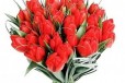 Тюльпаны на 8 марта. скидки в городе Великий Новгород, фото 1, Новгородская область