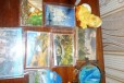 Сувениры, магниты в городе Палласовка, фото 2, телефон продавца: +7 (961) 076-86-18