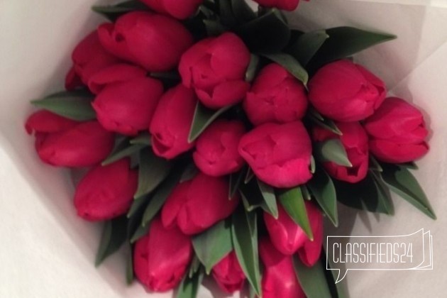 Тюльпаны в городе Краснодар, фото 2, Краснодарский край
