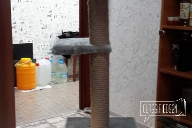 Домик когтеточка в городе Мурманск, фото 1, Аксессуары