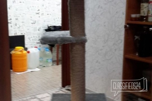 Домик когтеточка в городе Мурманск, фото 2, Мурманская область