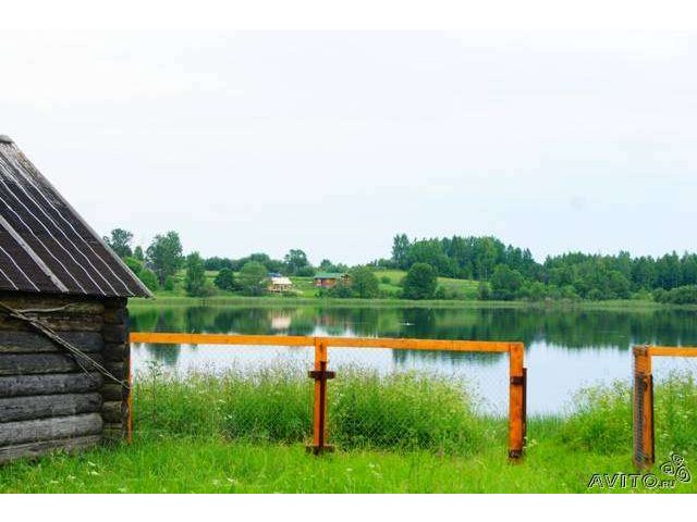 Дом у озера в городе Белозерск, фото 7, Продажа домов за городом