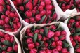 Тюльпаны к 8 марта в городе Ростов-на-Дону, фото 1, Ростовская область