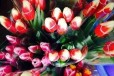 Тюльпаны на 8 марта в городе Ростов-на-Дону, фото 1, Ростовская область