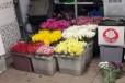 Цветочки Тюльпанчики на 8марта в городе Ставрополь, фото 1, Ставропольский край