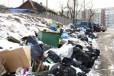 Помощь в вывозе мусора в Москве утилизация мебели в городе Балашиха, фото 1, Московская область