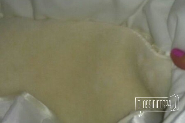 Конверт в городе Петропавловск-Камчатский, фото 3, телефон продавца: +7 (962) 280-07-72