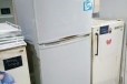 Холодильник Samsung. Доставка бесплатно в городе Хабаровск, фото 1, Хабаровский край