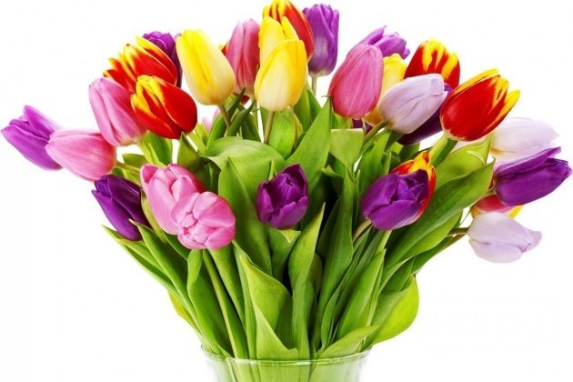 Тюльпаны и мимозы оптом и в розницу в городе Нижний Новгород, фото 1, телефон продавца: +7 (906) 578-56-64