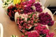Тюльпаны оптом и в розницу в городе Тюмень, фото 1, Тюменская область