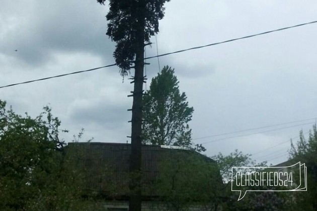 Спил деревьев и кронирование в городе Чебоксары, фото 5, телефон продавца: +7 (987) 125-17-77