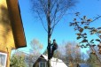 Спил деревьев и кронирование в городе Чебоксары, фото 2, телефон продавца: +7 (987) 125-17-77