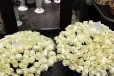 Розы 80 см шикарные розы Эквадор букеты из роз в городе Казань, фото 1, Татарстан