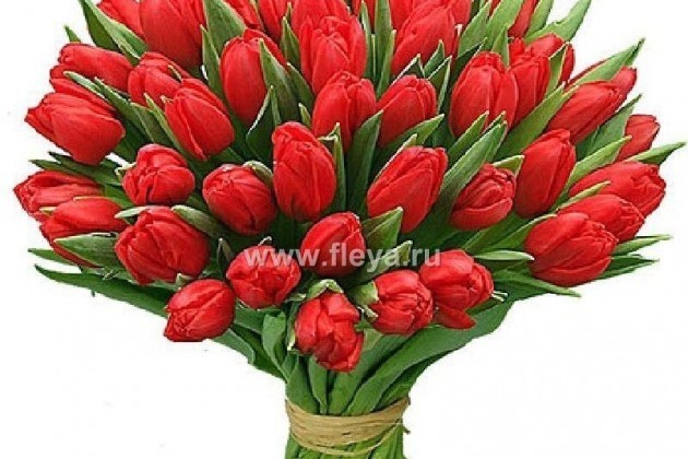 Тюльпаны (Голландия) в городе Краснодар, фото 2, телефон продавца: +7 (918) 355-45-00