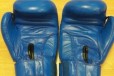 Боксерские перчатки well-sport Tiger в городе Воронеж, фото 3, стоимость: 1 000 руб.