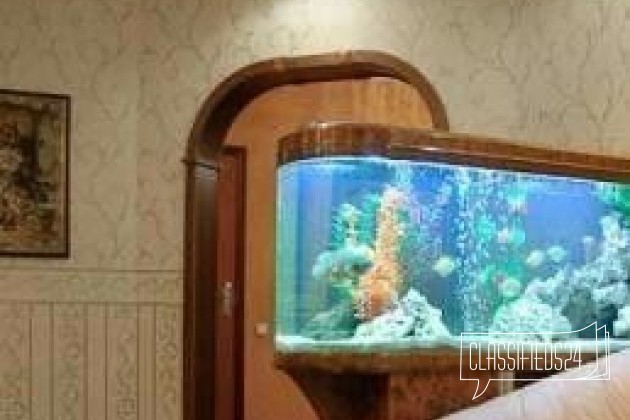 Чистка аквариумов и декоративное оформление в городе Благовещенск, фото 4, Амурская область