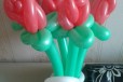 Цветы из воздушных шаров в городе Оренбург, фото 2, телефон продавца: +7 (922) 544-37-58