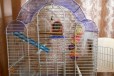 Клетка для попугая в городе Тверь, фото 1, Тверская область