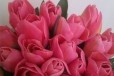 Тюльпаны оптом и в розницу в городе Севастополь, фото 4, Растения