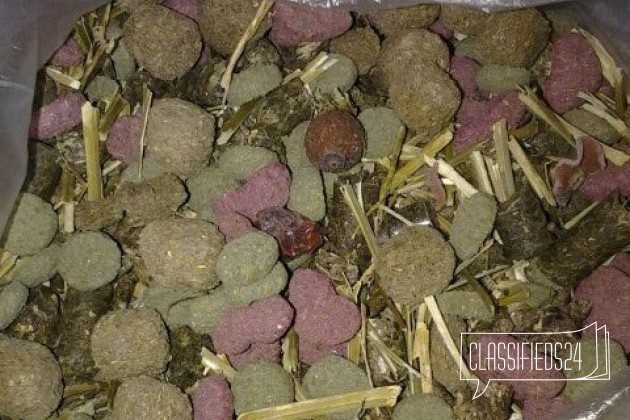 Отдам корм и др. для шиншилл в городе Мурманск, фото 3, стоимость: 0 руб.