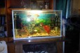 Продам аквариум 80x40x60 в городе Воронеж, фото 1, Воронежская область