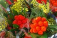 Цветы. Горные гвоздики в городе Омск, фото 1, Омская область