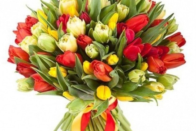 Тюльпаны (Голландия) в городе Мытищи, фото 1, телефон продавца: +7 (903) 754-11-29