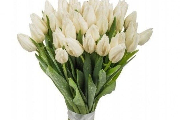 Тюльпаны (Голландия) в городе Мытищи, фото 5, телефон продавца: +7 (903) 754-11-29