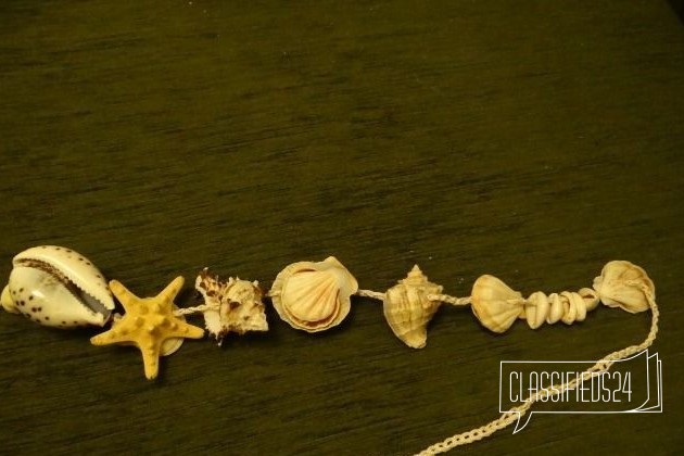 Ракушки+ морская звезда в городе Москва, фото 2, стоимость: 0 руб.