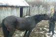 Две Кобылы в городе Уфа, фото 1, Башкортостан