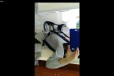 Рюкзак кенгуру в городе Палласовка, фото 2, телефон продавца: +7 (964) 394-97-58