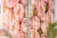 Фотошторы Молодые розы Блекаут в городе Хабаровск, фото 1, Хабаровский край