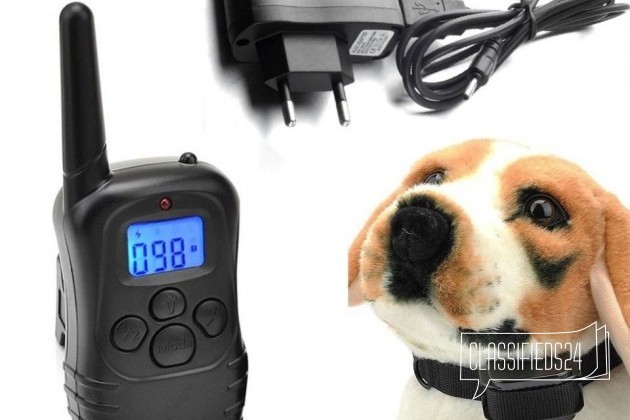 Электроошейники, заборы, антилай, GPS для собак в городе Кострома, фото 1, телефон продавца: +7 (953) 486-65-82