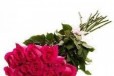 19 розовых роз Хермоса в городе Казань, фото 1, Татарстан