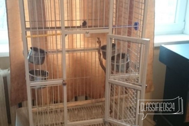 Клетка для средних и крупных птиц в городе Ростов-на-Дону, фото 3, стоимость: 13 000 руб.