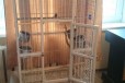 Клетка для средних и крупных птиц в городе Ростов-на-Дону, фото 3, стоимость: 13 000 руб.